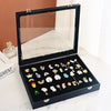 Jewelry Earring Display Case with Clear Lid